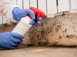 Best Indoor Air Quality Assessment  in New Roads, LA